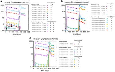 Computer Modeling of Clonal Dominance: Memory-Anti-Naïve and Its Curbing by Attrition